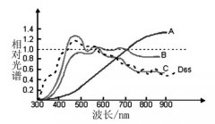 標(biāo)準光源